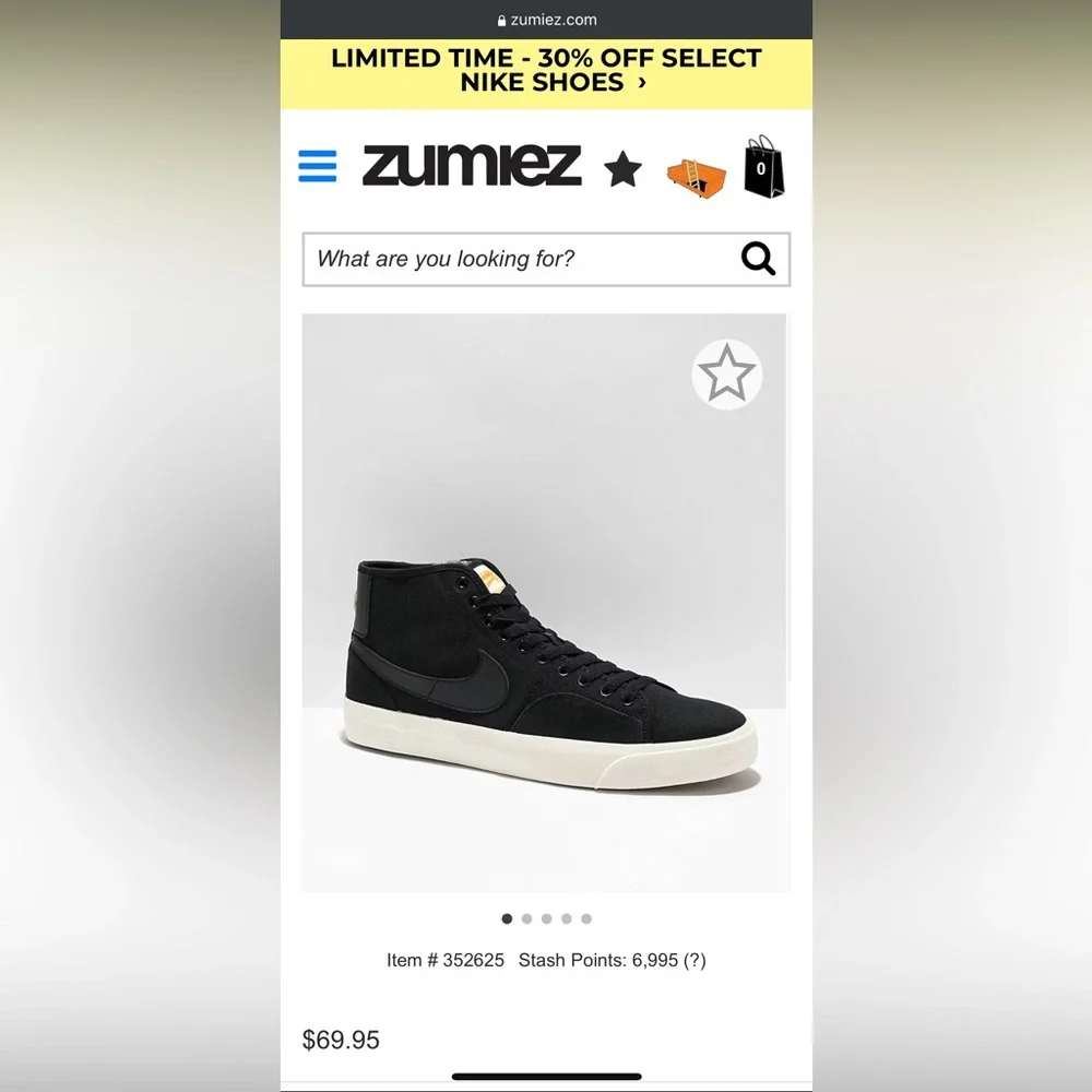 Nike Black High-Top Skate Shoes